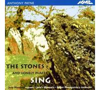 PAYNE, A. - STONES & LONELY PLACES SI