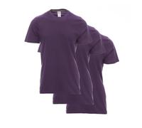 Payper Sunset T-Shirt Uomo 100% Cotone 155 g/m² Maglietta Manica Corta Girocollo Basic Confezione 3 o 5 Pezzi, Ideale per Lavoro e Uso Quotidiano (IT, Testo, M, Regular, Regular, 3, Viola Indaco)