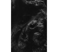 Paysage d'Hiver Steineiche (CD)