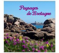 Paysages de Bretagne (Calendrier mural carré 2026 30 x 60 cm (ouvert)) Calendrier double avec une page pour vos prises de notes: Paysages sauvages de Bretagne (CALVENDO Nature)