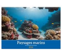 Paysages marins Une plongée fantastique (Calendrier mural 2026 DIN A3 vertical), CALVENDO calendrier mensuel: Découverte des fantastiques fonds marins