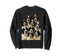 Pazza Landseer Felpa