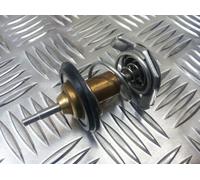 PBM100040 Land Rover Freelander 1 TD4 Termostato
