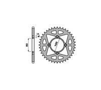 PBR 4451 CORONA ERGAL ARGENTO Z 40 P. 520 BETAMOTOR 300 EVO 4T. TRIAL 2009