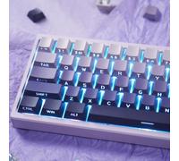PBT Doubleshot Keycaps 133 tasti sfumati viola retroilluminato Profilo OEM Keycaps Stampa laterale Brillare attraverso Tastiera personalizzata Keycaps Set per 60% 65% 75% 100% Cherry Gateron MX Switch