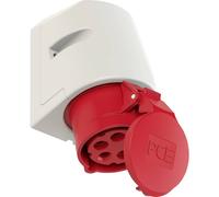 PC-Electric PCE1156 115-6 - Presa da parete CEE, 5 poli, 16 A
