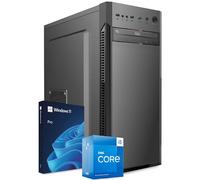 PC Fisso Completo - Computer Desktop Intel Core i5-14400 • RAM 32GB DDR4 • 1TB NVMe M.2 • Scheda Video RTX A400 4 GB • Wi-Fi AC e Bluetooth • Masterizzatore DVD • HDMI • USB 3.0 • Windows 11 Pro