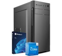 PC Fisso Completo - Computer Desktop Intel Core i5-8400 • RAM 16GB DDR4 • SSD 500GB • Scheda Video Quadro P400 2 GB • Wi-Fi AC e Bluetooth • HDMI • USB 3.2 • Windows 11 Pro • Pronto all'Uso