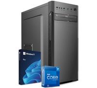 PC Fisso Completo - Computer Desktop Intel Core i7-4770 • RAM 32GB • SSD 1TB • Scheda Video GeForce GT 1030 4 GB • Wi-Fi AC • Masterizzatore DVD • HDMI • USB 3.0 • Windows 11 Pro • Pronto all'Uso
