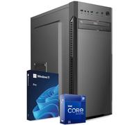 PC Fisso Completo - Computer Desktop Intel Core i9-12900 • RAM 32GB DDR4 • 1TB NVMe M.2 • Scheda Video RTX A400 4 GB • Wi-Fi AC e Bluetooth • Masterizzatore DVD • HDMI • USB 3.0 • Windows 11 Pro