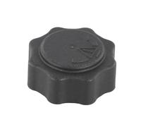 PCD100160 Serbatoio di espansione del liquido di raffreddamento BBmart, ricambio per Land Rover Defender modello 2007