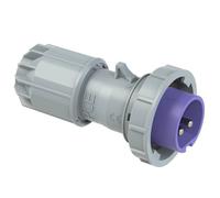 PCE 0622v Twist Connettore maschio CEE 16 A 2 poli 24 V 1 pz.