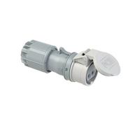 PCE 282-12v PC Electric Connettore femmina CEE 16 A 2 poli 42 V 1 pz.