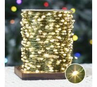 PCORES Ghirlande luminose 30 m 300 LED, con spina, telecomando e timer, filo di rame verde impermeabile, luci scintillanti per Natale (bianco caldo, adattatore incluso) (100M)