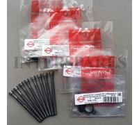 Pd Iniettore Guarnizioni Kit + Supporto Vite VW Jetta Passat 2.0TDI Bmn Bmr Bwv