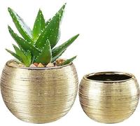 pdodo Vaso di Fiori Vaso d'oro,vasi da Fiori da Interno per Piante succulente e Orchidee,Vaso con Foro di Drenaggio Organizzatore di Stoccaggio Regali Decorativi per Matrimonio Soggiorno Balcone