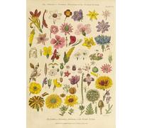 PDSYUCHEN 1000 Pezzi Puzzle - Poster - Difficult Puzzle - Gifts - Vintage Flowers Illustrations - Immagine Artistica Del Gioco Per Alleviare Lo Stress Degli Adulti - Tz215Kj