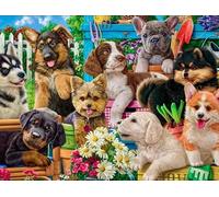 PDSYUCHEN Difficult Puzzle - 1000 Pezzi - Colorful - Dogs Playing In The Garden Oil Painting - Giochi Per Adulti Personalizzati Per Bambini Gifts - Jw33Th