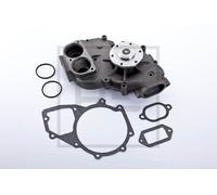 PE Automotive 010.597-00A Pompa dell’acqua, raffreddamento motore per MERCEDES-B