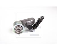 PE Automotive 010.865-00A Tendicinghia, Cinghia Poly-V