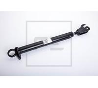 PE Automotive 013.651-00A Cilindro ribaltamento, Cabina per MERCEDES-BENZ