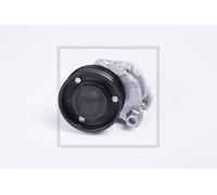 100.133-00A Tendicinghia 78 x 31 Adatto A per DAF