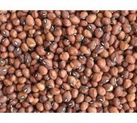 Pea, Mississippi argento fagiolo dall'occhio, biologica, non OGM, oltre 20 semi per pacchetto:Seeds