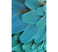 Peaceful Blue Feather Diary and Journal: 120 Custom Feather Pages to log good times, trips, lessons or life in general, 6 x 9 inches, Matte Finish Cover, Great Gift For Anyone!