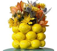 PeachiiPitt - Vaso per limoni, in ceramica gialla, stile francese/mediterraneo, unico vaso con design 3D, limone, decorazione per la cucina, regalo per inaugurazione