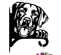 peacoblue Ganci per piante in ferro, 29,5 x 38,6 cm, per esterni e interni, da appendere, per piante, felci, lanterne, mangiatoia per uccelli, supporto da parete in metallo resistente alle intemperie