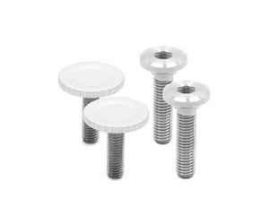 Peak Design Viti di ricambio Bolt Pack per Capture Clip v3 argento