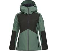 Peak Performance Anima Gtx Jacket Women Fells View M