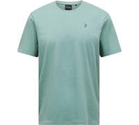Peak Performance Explore Graphic Tee Men Green Valley S
