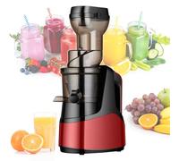 pealiritansemen 1000 Ml Cold Press Juicer, Macchina per Spremere Il Succo di Grande capacità, Installazione Combinata, Separa Automaticamente Succo E Residui, per Uso Domestico/Commerciale