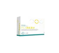 PEANERV BUSTINE 14BUST