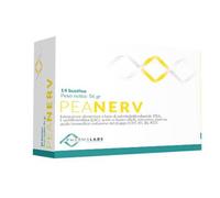 PEANERV BUSTINE 14BUST