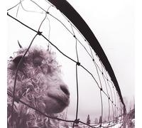 Pearl Jam - Pearl Jam - Vs. (30th Anniversary Edition)