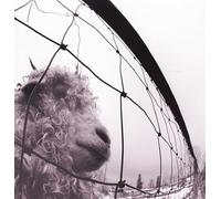 Pearl Jam - Pearl Jam - vs. Vinyl Edition Remastered