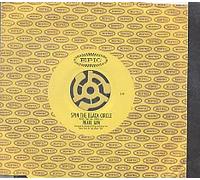 Pearl Jam - Spin the Black Circle