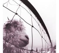 Pearl Jam - Vs.