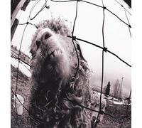 Pearl Jam - Vs.