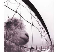 Pearl Jam - Vs