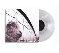 Pearl Jam vs. 30th Anniv (Vinyl LP)