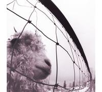Vinile Pearl Jam - Vs (12")