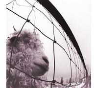 Vinile Pearl Jam - Vs (12")