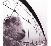 Pearl Jam - Vs (Rem.Ed.180Gr.)
