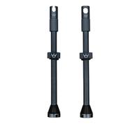 Chris King Peaty´s Tubeless Valves Argento 80 mm
