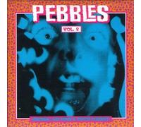 Pebbles - Pebbles, Vol. 2: Original 60s Punk & Psych Classics by Pebbles (1995) Audio CD