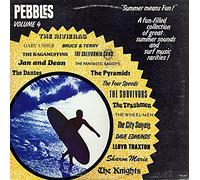 Pebbles Vol. 4 ("Summer Means Fun!")