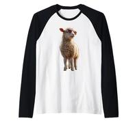 Pecora Agnello Piccola Pecora Domestica Pastore Pecore Dolci Maglia con Maniche Raglan